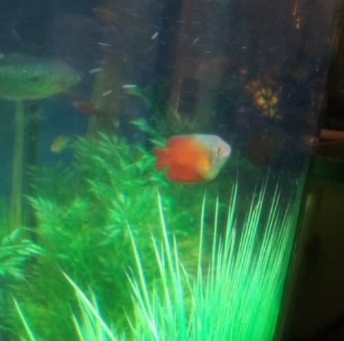 05:20:20 GMT-0600 (CST)