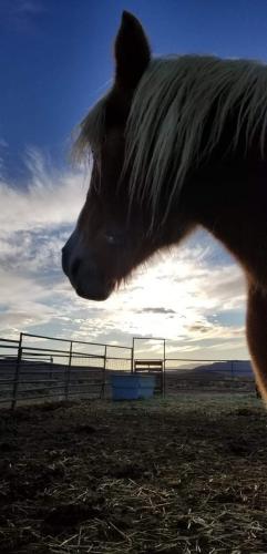 20:09:26 GMT-0800 (PST).image