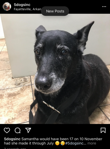 10:07:19 GMT-0600 (CST).image