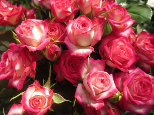 14:47:01 GMT+0100 (WAT).image