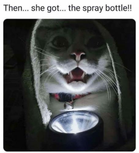 20:48:49 GMT-0600 (CST)