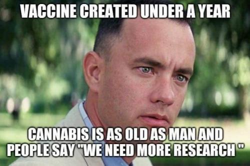 vaccine23