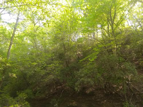 12:25:38 GMT-0500 (EST)