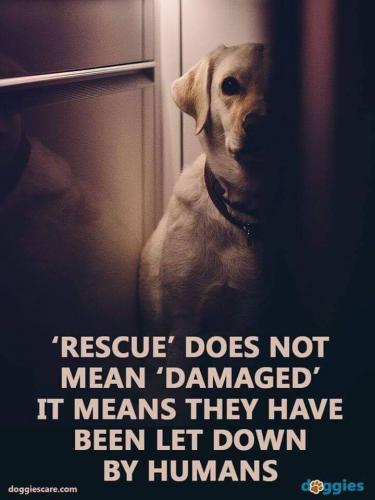 19:37:15 GMT-0500 (EST)