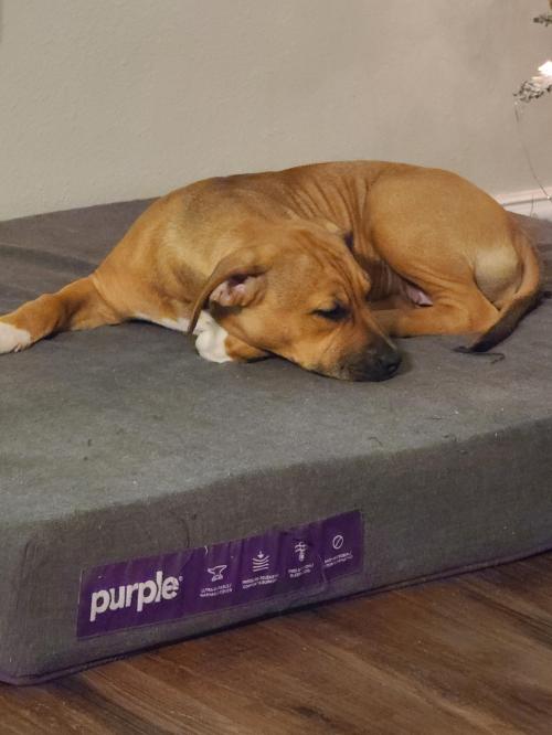 16:23:51 GMT-0600 (CST)