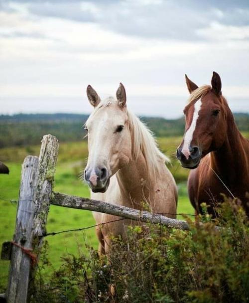 12:29:59 GMT+0100 (WAT)