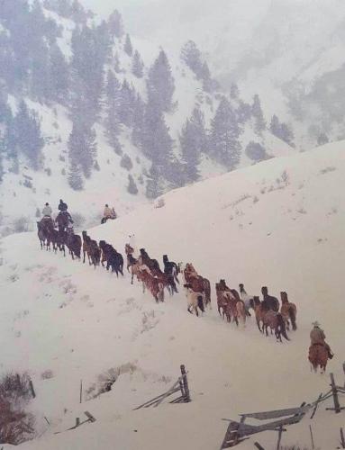 134093883_1244112625974369_5730867164191792636_n