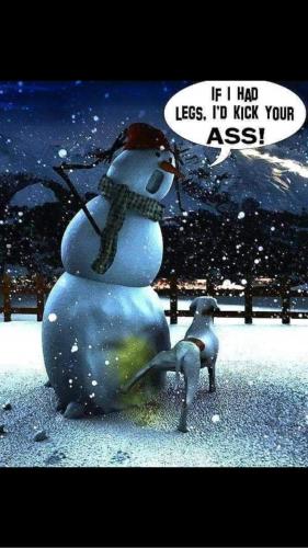 17:12:37 GMT-0600 (CST)