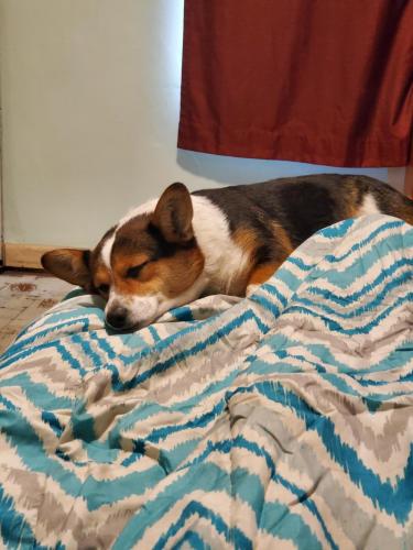 15:25:31 GMT-0800 (PST)