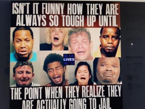 libtardsarrested&crying