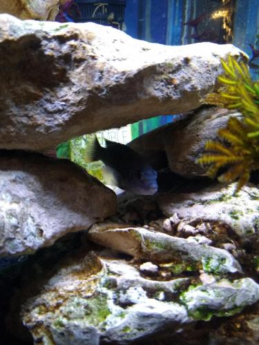 05:25:57 GMT-0600 (CST)