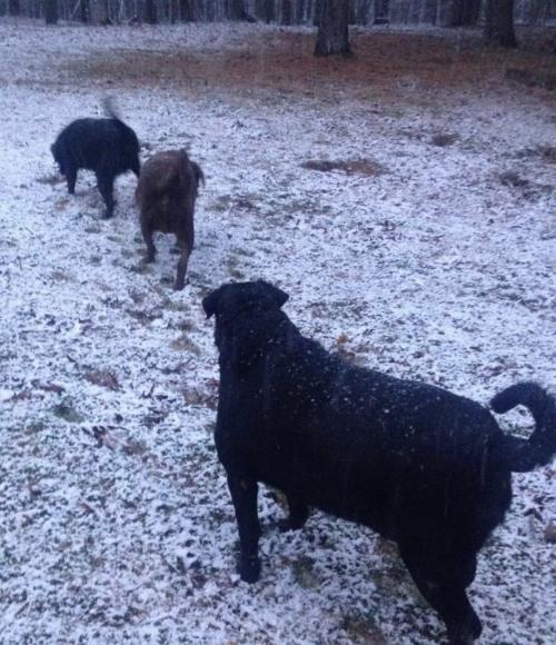 23:50:09 GMT+0100 (WAT).image