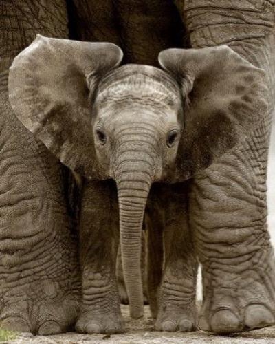 tumblr_63b5351a942f17599905f937f21e8ba0_36b83b22_500