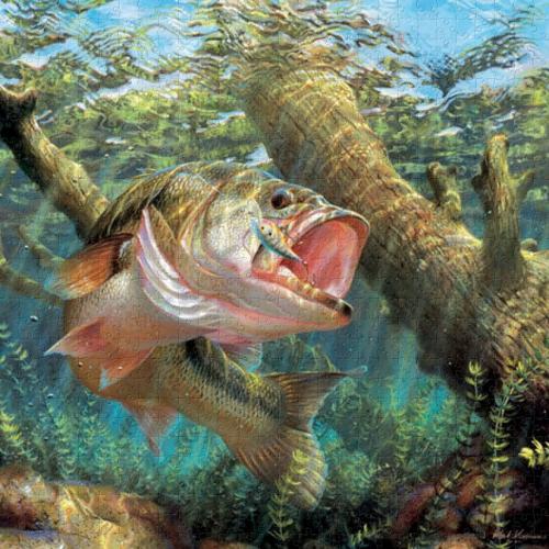 QVZlelJ6ZDF5RjVLcGJOcA