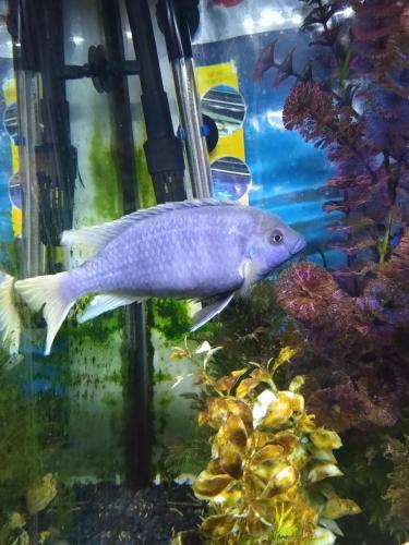 05:25:57 GMT-0600 (CST)