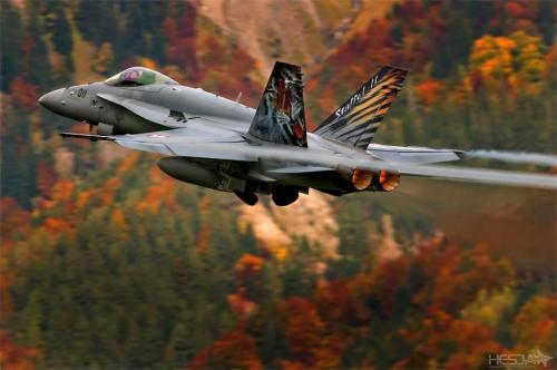 130934815_236163117860069_4706006397925398677_o