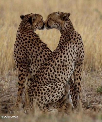 132657043_679560319388195_5162820569767904756_o