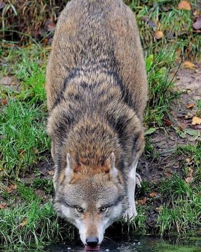 131661257_217584379935596_6321302462936441946_n