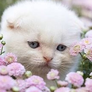 02:10:43 GMT-0500 (EST)