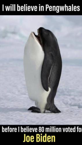 23:16:25 GMT-0800 (PST).image