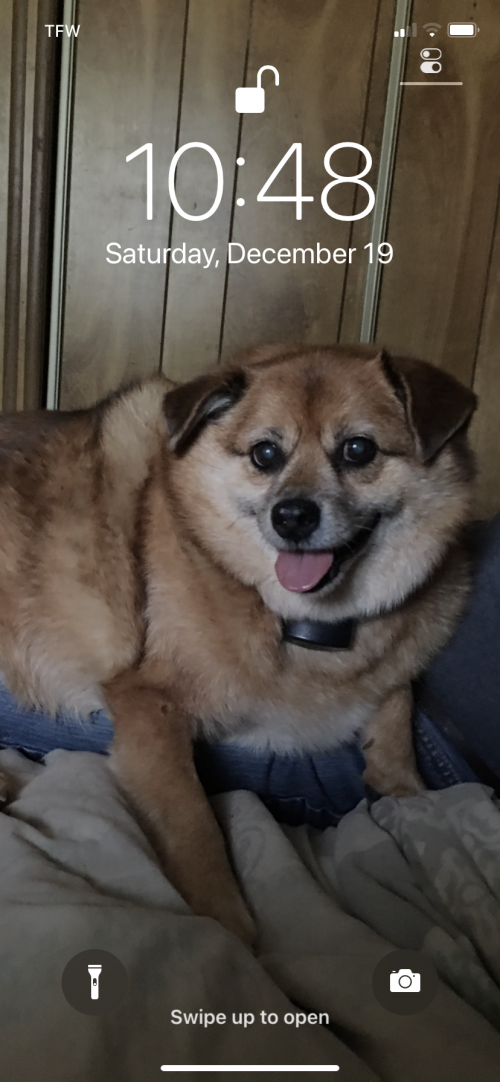 02:52:15 GMT-0500 (EST).image