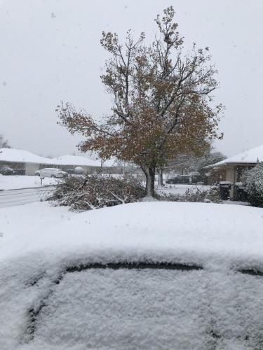 4BA51076-DFC0-44E2-8039-0D1BEEC44F3B-1652-0000017E9DA568E6