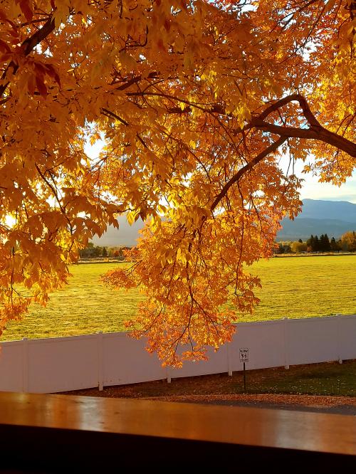 11:38:00 GMT-0700 (MST)