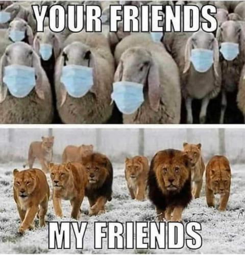 11:55:22 GMT-0500 (EST)