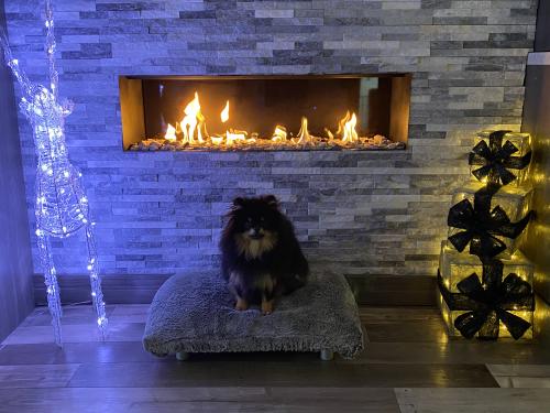 CB3A1F1A-19AA-4FE2-921D-82DBE40D284C