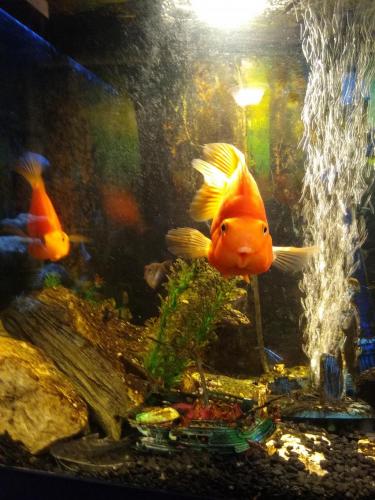 05:28:46 GMT-0600 (CST)