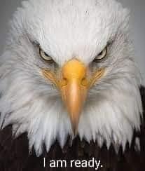 15:15:30 GMT-0500 (EST)