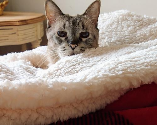 23:14:36 GMT-0500 (EST)