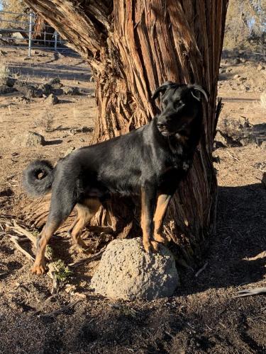 17:09:39 GMT-0800 (PST).image