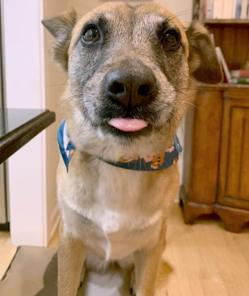 08:03:06 GMT+0100 (WAT).png