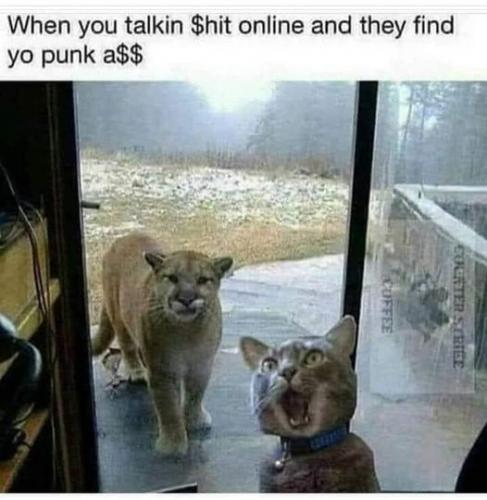 131362752_830570384443552_4579700356035304310_n