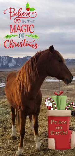 07:48:07 GMT-0800 (PST).image