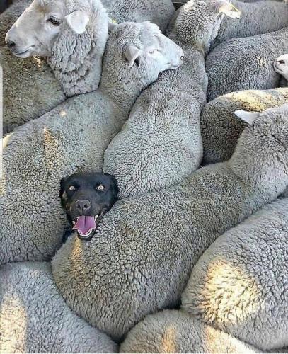 15:16:18 GMT-0700 (MST)