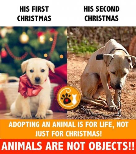 19:36:28 GMT-0500 (EST)