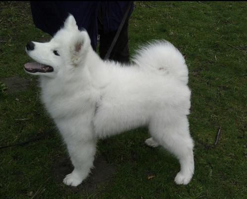 13:46:28 GMT+0100 (WAT).image