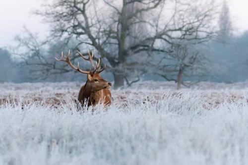 134434569_2758637571056458_461628702225865214_o