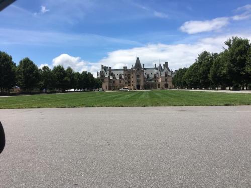 12:33:54 GMT-0500 (EST).image