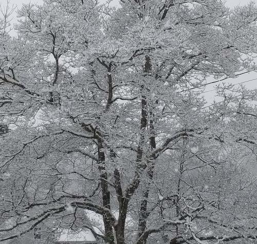 22:42:30 GMT+0100 (WAT).image