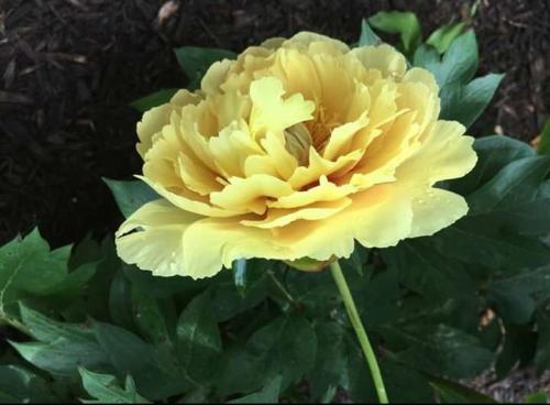 00:07:14 GMT+0100 (WAT)