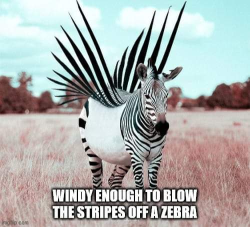 13:09:51 GMT-0500 (EST)