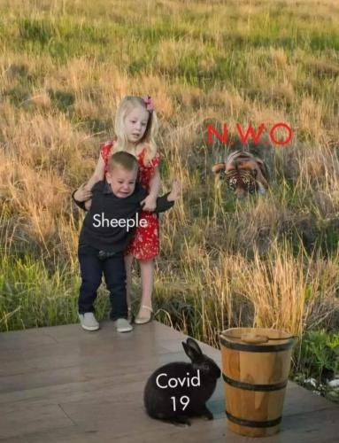 00:42:14 GMT+1100 (AEDT)