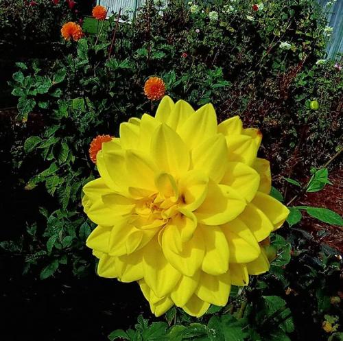 01:37:12 GMT+0100 (WAT).image