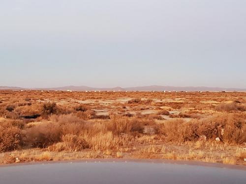 03:38:47 GMT-0800 (PST)