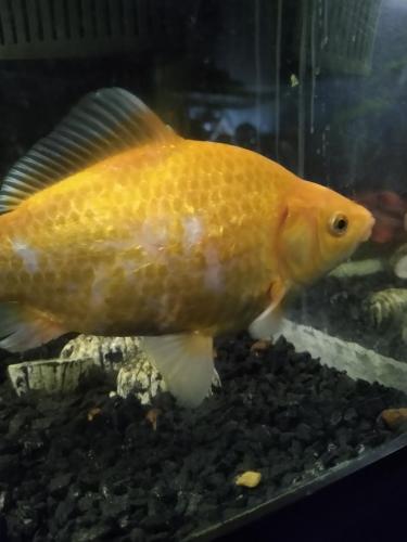 05:22:56 GMT-0600 (CST)