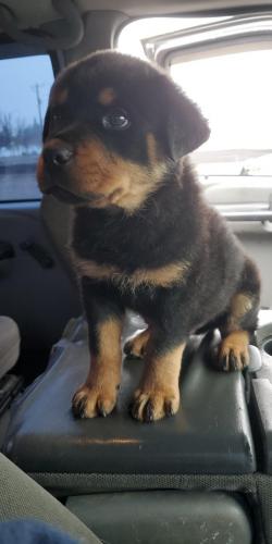 15:41:30 GMT-0800 (PST)