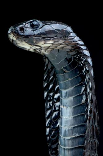 131713956_3381349458643573_2326690346803572263_o